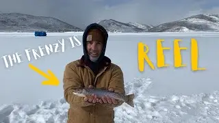 ICE FISHING 🥶 | Scofield Reservoir (Utah) FISH FRENZY
