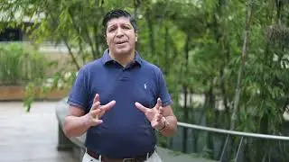Voceros CES - ¿Qué representa la celebración de la Alborada en Colombia?
