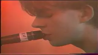 Echo & The Bunnymen Clay video edit.