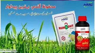 TOSHIUM + RunOut Complete Wheat Crop Protection Higher YieldProfit #agriculture #hmc #qadirgroup