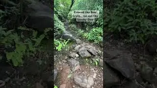#jungletrip