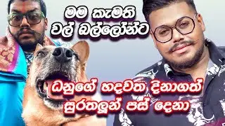 ධනුගේ හදවත දිනාගත් 🐶 සුරතලූන් පස් දෙනා🐕මම කැමති වල් බල්ලෝන්ට 🐱Danu Innasithamby | ධනූ ඉන්නසිතම්බි