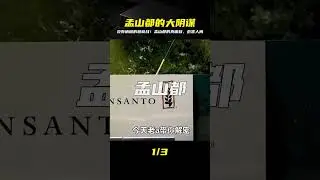 沒有硝煙的糧食戰，除草劑和轉基因，是孟山都的一個大陰謀 #老A檔案室 #大案紀實錄 #案件調查 #懸案密碼 #懸案破解