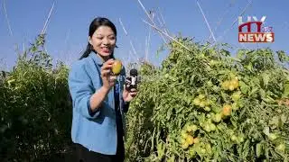 Khoijuman: Manipur&rsquo;s thriving vegetable hub