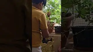 ratha saptami pooja #superswethavlogs #minivlog #traditionalcooking #tirupathivlogs #threadbangles