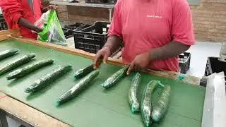 How packing English Cucumber.