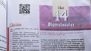 Biomolecules : Introduction || Class 12 Chemistry || SK Chemistry