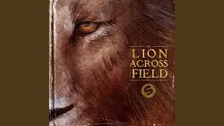 Wildcard (feat. Sidnie Tipton)