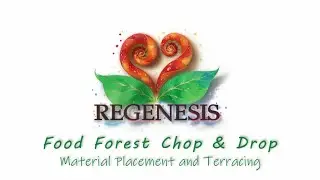 Food Forest Chop and Drop, Material Placement and Terracing