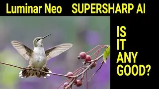 Luminar Neo SUPERSHARP AI