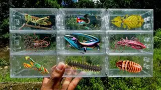 I searched for insects in the garden I got Leaf Hopper, Frog Beetle, Kissing Bug, Millipede, Mantis