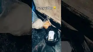 #funny #comedy 😭😭 #viral #ekmotahathighumechala #babybehavior #babybehavior #gameskhelkarpaisekai