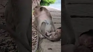 Annette truly enjoys time with mom