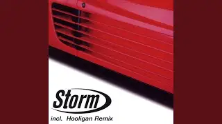 Storm (Radio Mix)