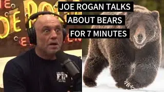 Joe Rogan Talks About Bears For 7 Minutes