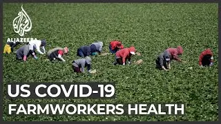 Coronavirus and farming: California farmworkers at high risk