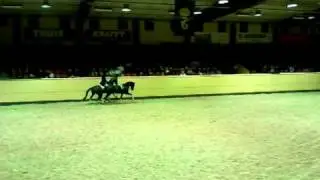 Flyingedagarna Bo Jen&aring;