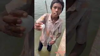 One Egg-One Mullet! Incredible Young Boy Fishing Skills👌🤯 #fishing #mulletfishing