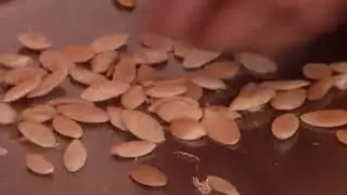 Argan Oil hygienic production   sustainable quality from Morocco