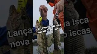lan&ccedil;amento da isca nova da Turbo iscas a Popper turbo