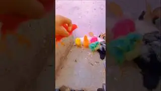 Catching Colorful Chicks 🐣🐤❤️💙💚💛 #shorts #short #chicks #chuzy #chuzy #choze #chooze #baby #babies