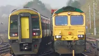 SWR 159003 + 158888 & Freightliner 66590 At Basingstoke - Wednesday 23rd February 2022