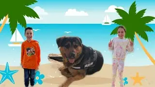 JUEGOS con Rocky en la PLAYA
