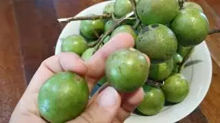 Como escoger Mamoncillo dulce? Mamon #asisecomelafruta