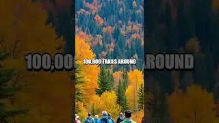 The Inspiring Journey of AllTrails
