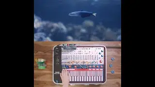 Coral Crabs (Buchla Music Easel, Expressive E Osmose)