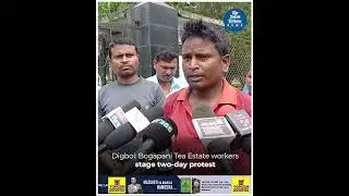 Digboi: Bogapani Tea Estate workers stage two-day protest