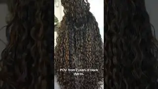 The journey back to honey blonde from black dyes on curls #curlyhair #curlynatural