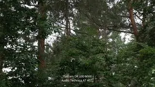 Field Recording / Soundscapes / AT 4022 / Tascam DR100 MKIII