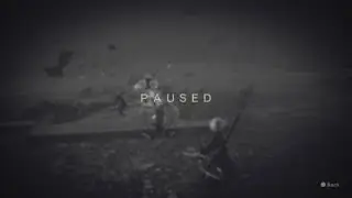 Almost no hit Nier eve fight