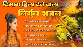 दिमाग हिला देने वाला निर्गुण भजन | Nonstop Nirgun Geet | Chetawani Bhajan 2026 | Nirgun Bhajan 2026
