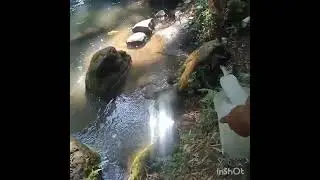 Ilog sa brgy Darasa Tanauan City.(adlos)