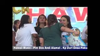 HAWII MUSIK. VOL. 5 TERLALU SAYANG