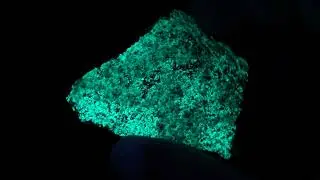 Andersonite, Ambrosia Lakes dist., McKinley Co., New Mexico, USA
