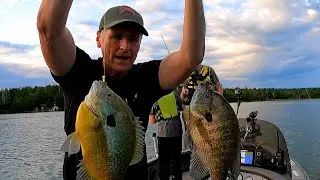 Michigan BLUEGILL FISHING~Absolute GIANTS!!!