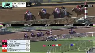 Memetic wins Race 4 on Thursday, January 15 at Santa Anita Park