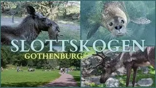 slottsskogen gothenburg zoo in Sweden