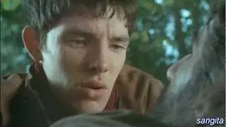 Merlin's loss part2