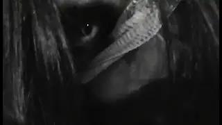 Chaoswolf - San Anselmo de Ox&iacute;moron (Official Video)