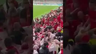 Turkey vs Georgian fans fight at Euro2024 #shorts  #football  #euro2024  #fighting