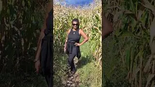 Hot Cider, Cornmazes and Gondala Rides, Oh my! #stowevermont #fallfoilage #bdaytwirl