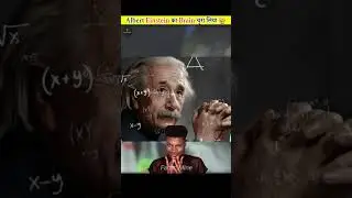 Who Stole Einstein's Brain #shorts