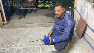 Shahpur# bus stand #cobra Saab# rescue Kia 🐍🐍￼