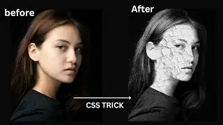 CSS TRICK