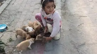Daily workout for kids 