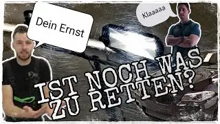 UNI-SCHWARZE-KATASTROPHE // BMW 5er Touring wer hat die AUFBEREITUNG VERKACKT & WAS IST ZU RETTEN ?